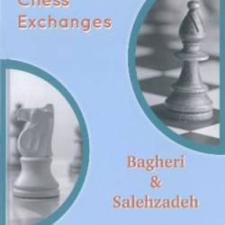 Understanding Chess Exchanges - Amir Bagheri