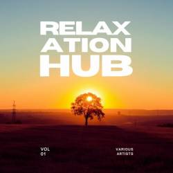 VA - Relaxation Hub, Vol. 1 (2024)