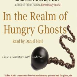 In the Realm of Hungry Ghosts - [AUDIOBOOK]