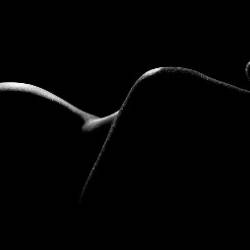 Fine Art Nude Photography