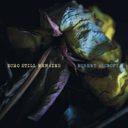 VA - Echo Still Remains (2025)