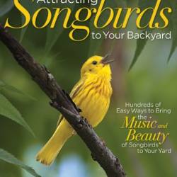 Attracting Songbirds to Your Backyard Hundreds of Easy Ways to Bring the Music and Beauty of Songbirds to Your Yard - Roth