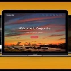 The Most Comprehensive Web Development Course