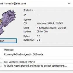 RStudio Agent 9.5 Build 1696