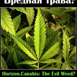BBC Horizon: .  ? / BBC Horizon: Cannabis. The Evil Weed?
