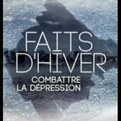  .     / Faits d'hiver (2012) DVB