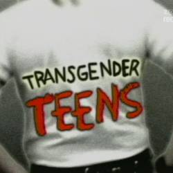 , .   / Transgender teens (2004) TVRip