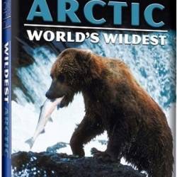 Animal Planet.   / Wildest Arctic (2012) HDTVRip 720p