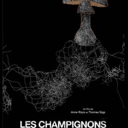     ? / Les champignons pourront-ils sauver le monde? (2013) DVB