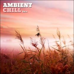 Ambient Chill Vol. 2 (2014)