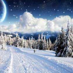 Winter Landscapes -  