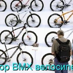     BMX  (2015) WebRip