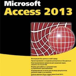  Microsoft Access 2013