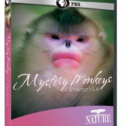   - / Mystery Monkeys of Shangri-La (2015) HDTVRip (720p)