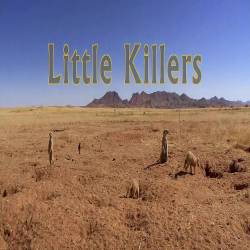   / Little Killers (2015) HDTV 1080i