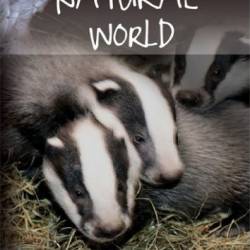  .    /  Badgers Secrets of the Sett (2008) HDTVRip (720p)