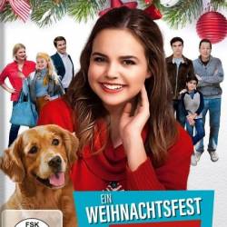   / Holiday Joy / Ein Weihnachtsfest mit Hindernissen (2016) HDRip - 