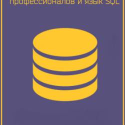       SQL (2017) 