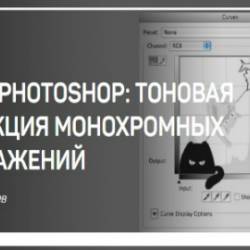Adobe Photoshop:     (2018) -