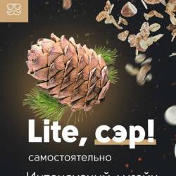 Интенсивный дизайн самостоятельно - Пакет LITE, сэр! (2019) Видеокурс