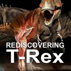     / Rediscovering T. Rex (2018) HDTVRip 1080p