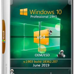 Windows 10 Pro x64 18362.207 3in1 OEM/ESD June 2019 by Generation2 (MULTi-7/RUS)