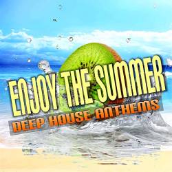 Enjoy The Summer: Deep House Anthems (2019) MP3