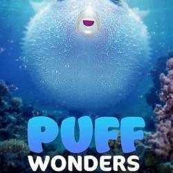    / Puff: Wonders of the Reef (2021) WEBRip 1080p