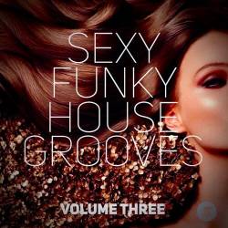 Sexy Funky House Grooves Volume Three (2022) - Electro