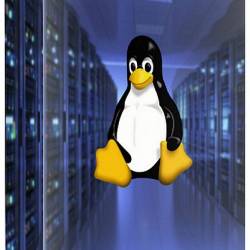   Linux () -    ,      Linux.     ,   ,    Linux    !