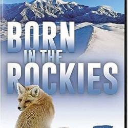     / Born in the Rockies (2021) HDTVRip 720p