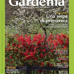 Gardenia (Febbraio 2024)