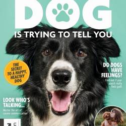 What Your Dog Is Trying To Tell You. 5th Edition (2024)