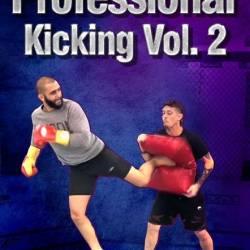 Professional Kicking Vol.2,  , , WEBRip, ENG ()