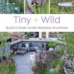 Tiny and Wild: Build a Small-Scale Meadow Anywhere - Graham Laird Gardner