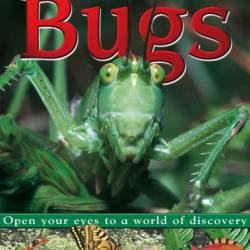 Eye Wonder: Bugs: Open Your Eyes to a World of Discovery - DK