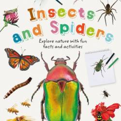 Insects and Spiders - DK