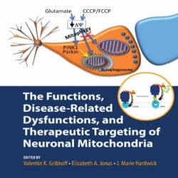 The Functions, Disease-Related Dysfunctions, and Therapeutic Targeting of Neuronal Mitochondria - J. Marie Hardwick