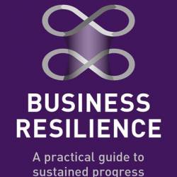 Business Resilience: A Practical Guide to Sustained Progress Delivered at Pace - David Roberts