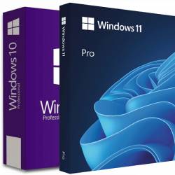 Windows 11 (No TPM Required) & Windows 10 AIO 32in1 (x64) Preactivated September 2024