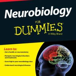 Neurobiology For Dummies - Frank Amthor