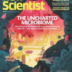 New Scientist USA - 28 September 2024