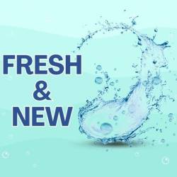 Fresh and New (2024) - Pop, Dance, Rock, RnB