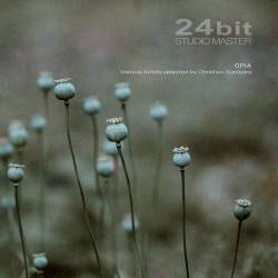 OPIA (2024) FLAC - Electronic, Chillout, Ambient, Psybient