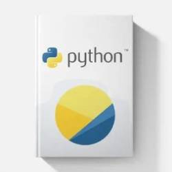 Python: The Professional Guide For Beginners (2024 Edition)