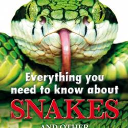 Everything You Need to Know About Snakes