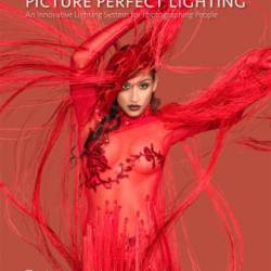 Picture Perfect Lighting - Roberto Valenzuela