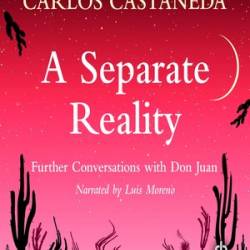 Separate Reality - [AUDIOBOOK]