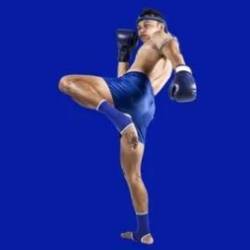 Muay Thai Complete Course