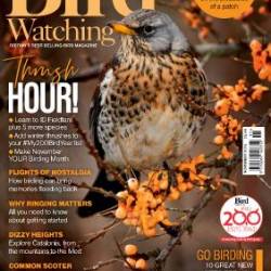Bird Watching UK - November 2025